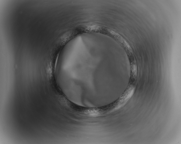 X0000103250668200809111616