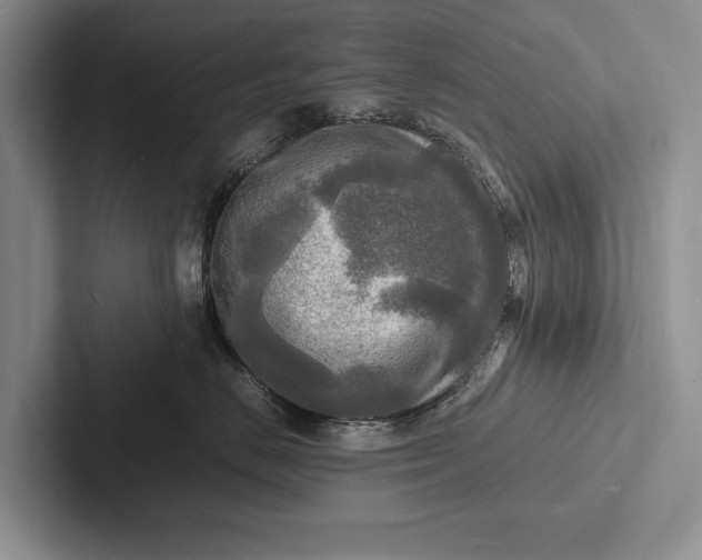 X0000103250670200809111616