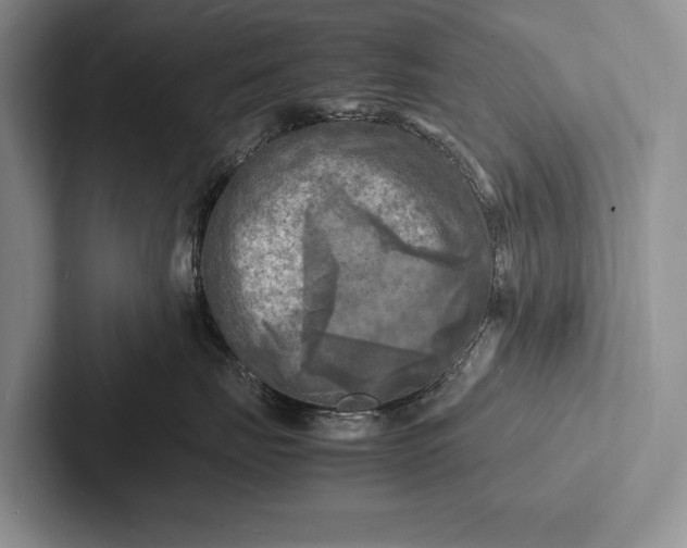 X0000103250671200809111616