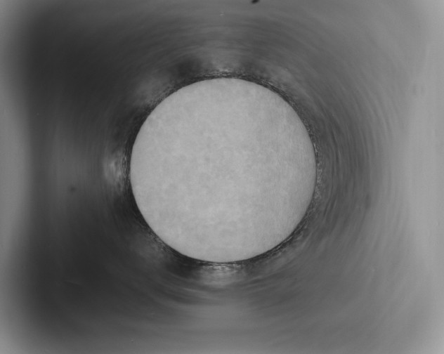 X0000103250672200809111616