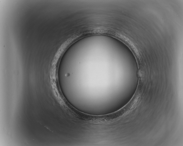 X0000103250673200809111616