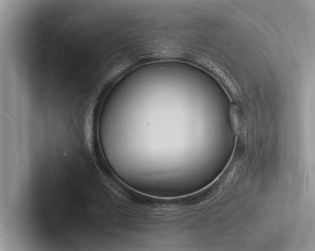 X0000103250677200809111616