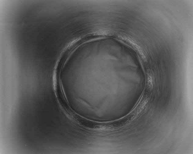 X0000103250678200809111616