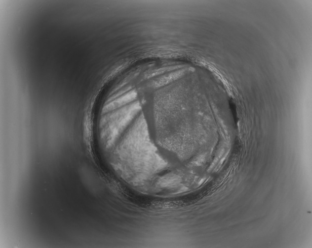 X0000103250679200809111616