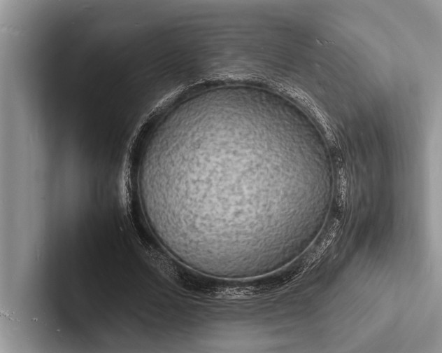 X0000103250680200809111616