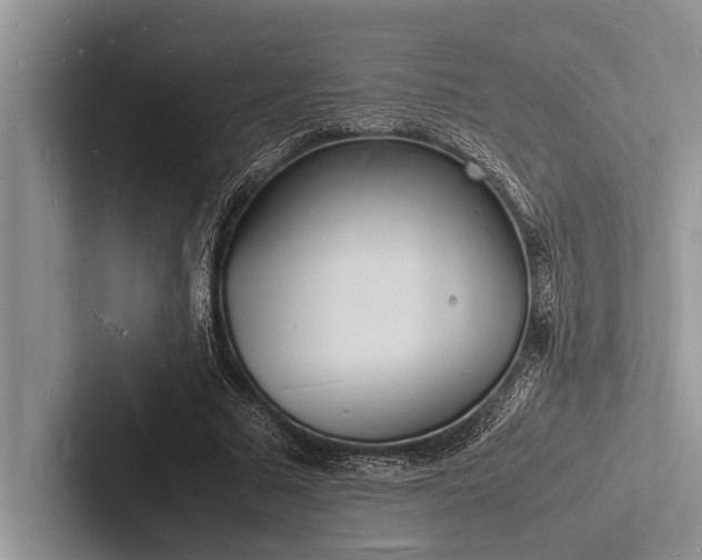 X0000103250681200809111616