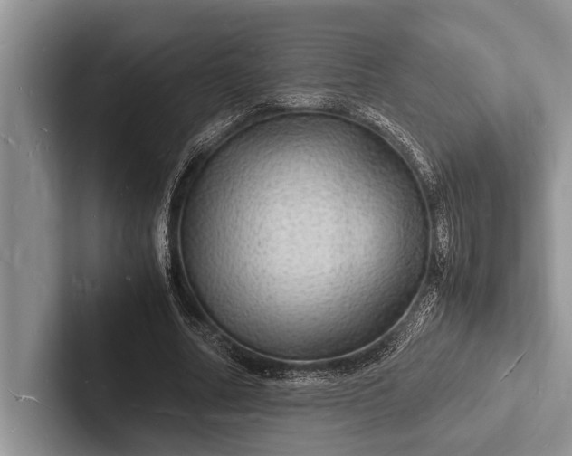 X0000103250682200809111616
