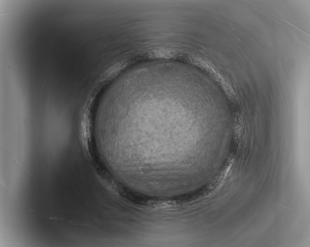 X0000103250683200809111616