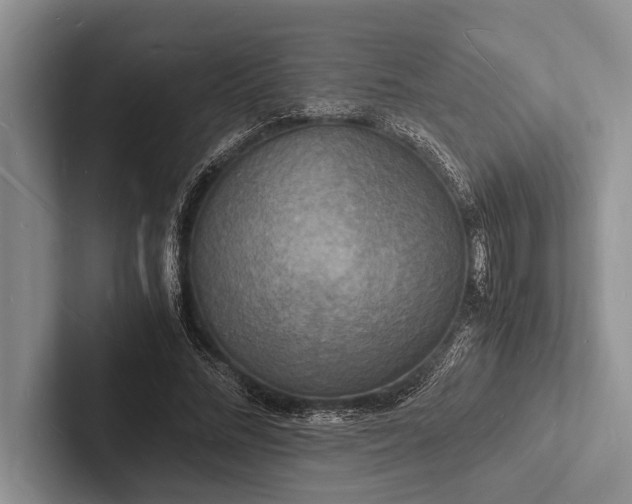 X0000103250684200809111616
