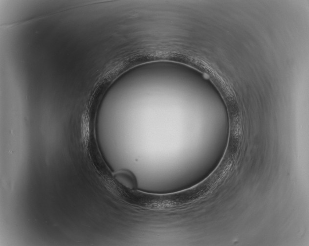 X0000103250685200809111616