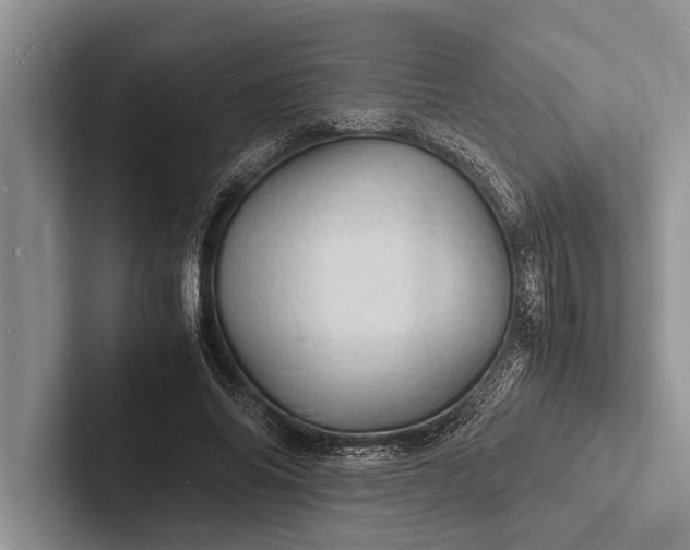 X0000103250686200809111616