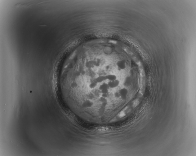 X0000103250687200809111616