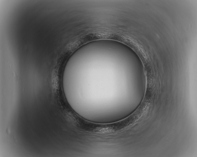 X0000103250689200809111616