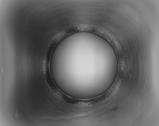 X0000103250690200809111616