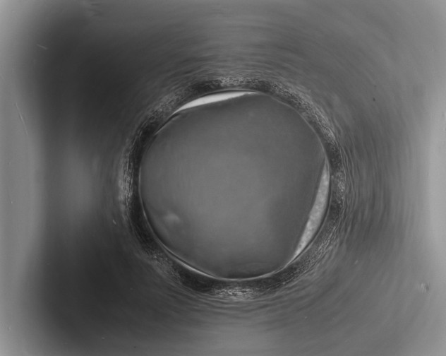 X0000103250691200809111615