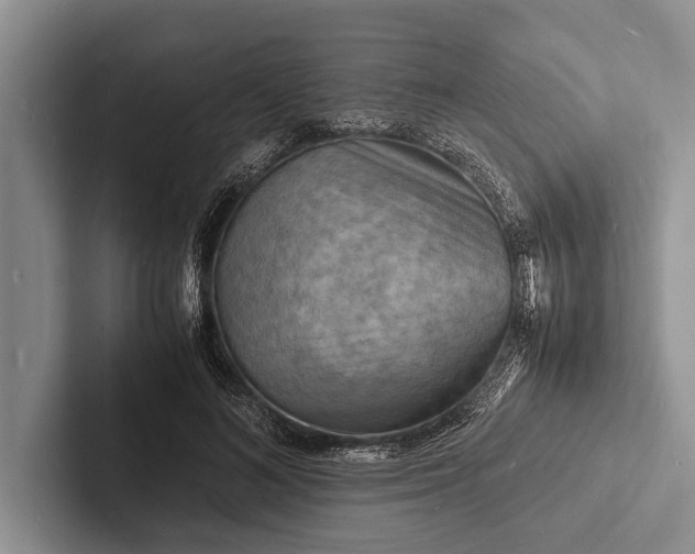 X0000103250692200809111615