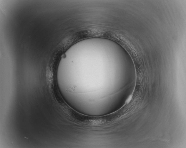 X0000103250693200809111615