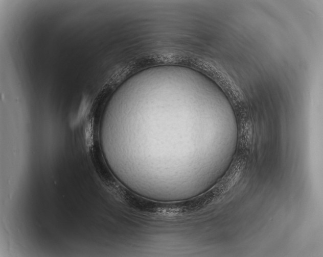 X0000103250694200809111615