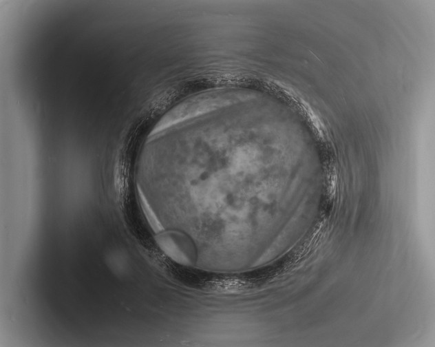 X0000103250695200809111615