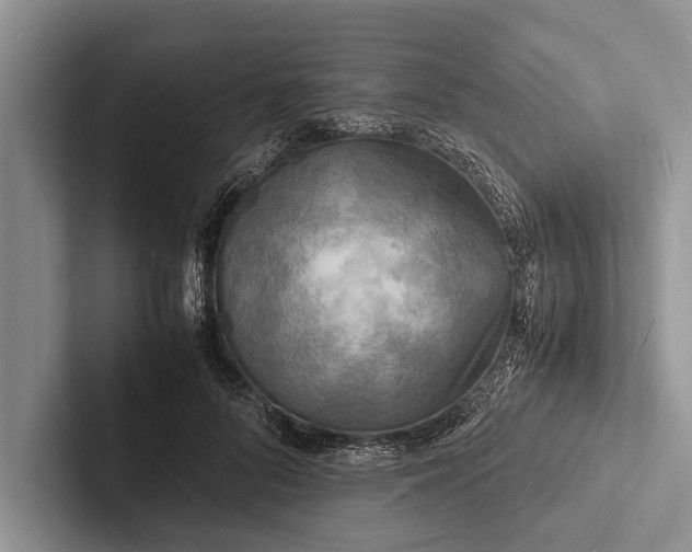 X0000103250696200809111615