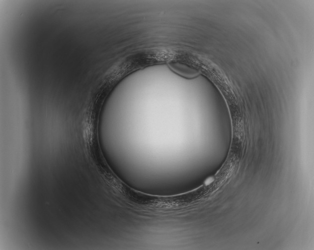 X0000103250697200809111615