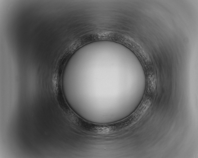 X0000103250698200809111615