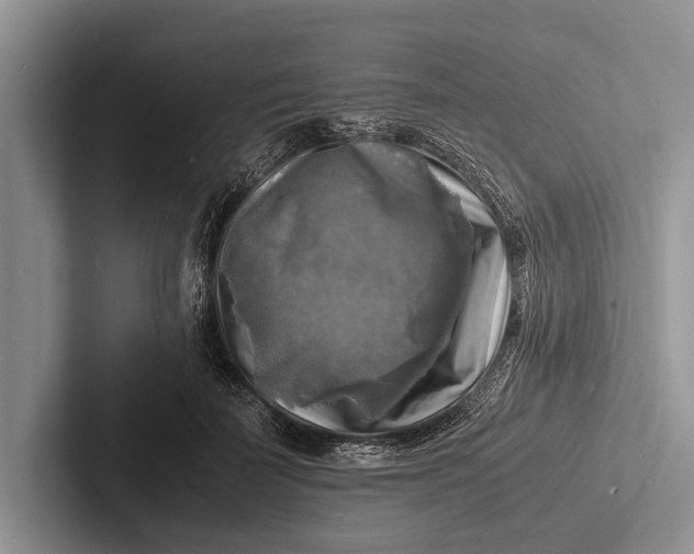 X0000103250699200809111615