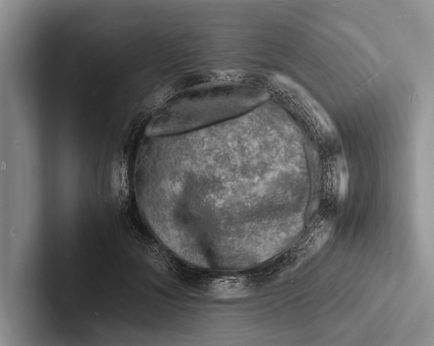 X0000103250700200809111615