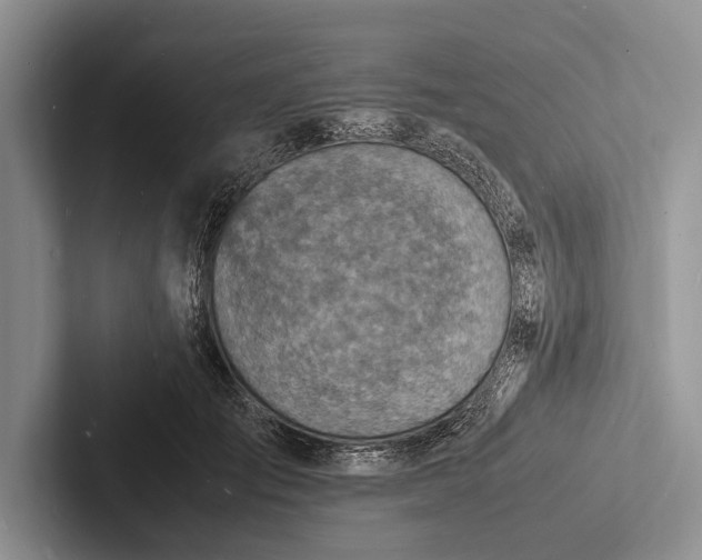 X0000103250701200809111615