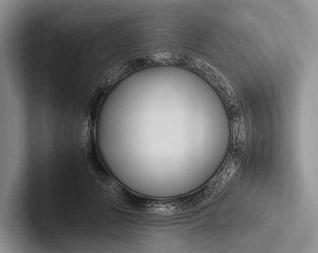 X0000103250702200809111615