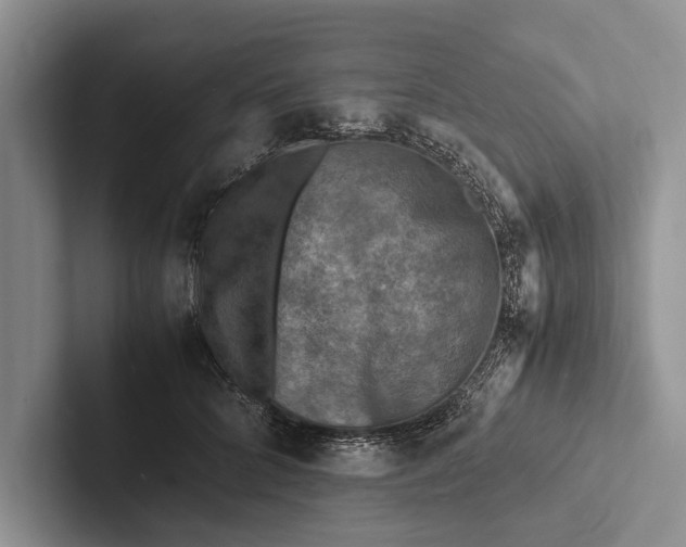 X0000103250704200809111615