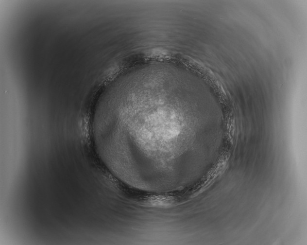 X0000103250708200809111615