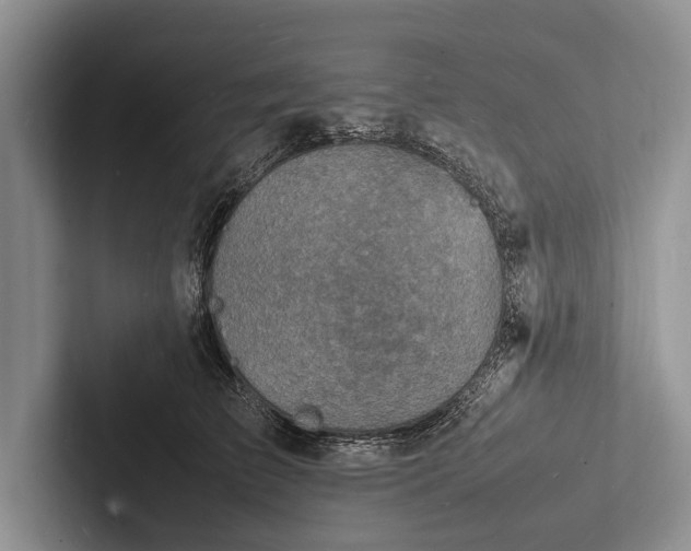 X0000103250709200809111615