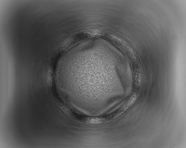 X0000103250710200809111615