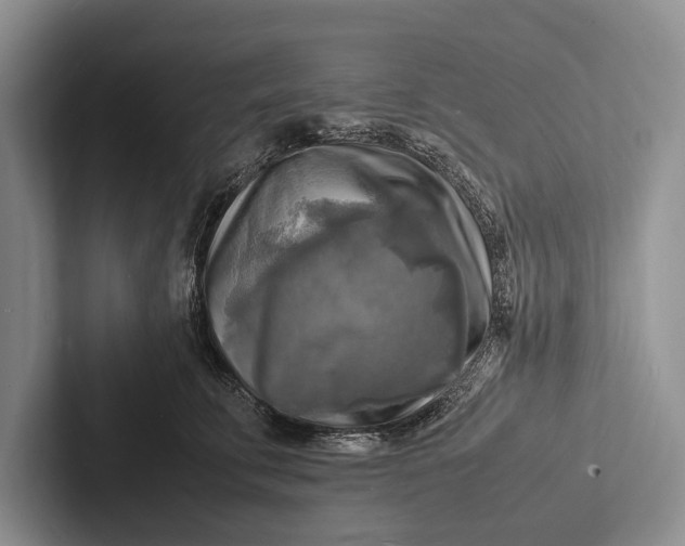 X0000103250711200809111615