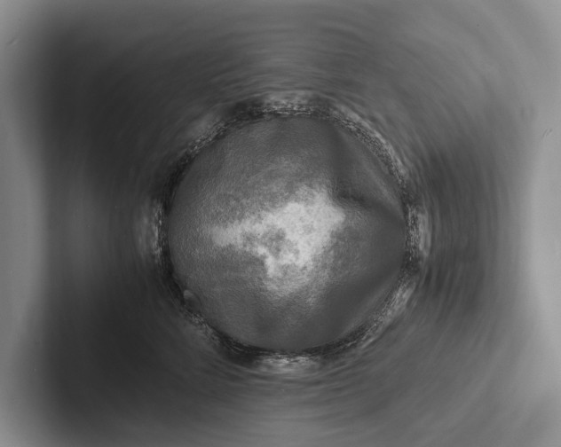 X0000103250712200809111615