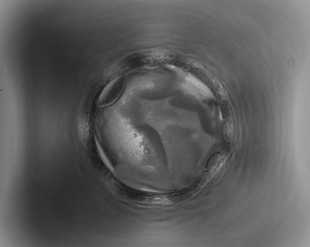 X0000103250715200809111615