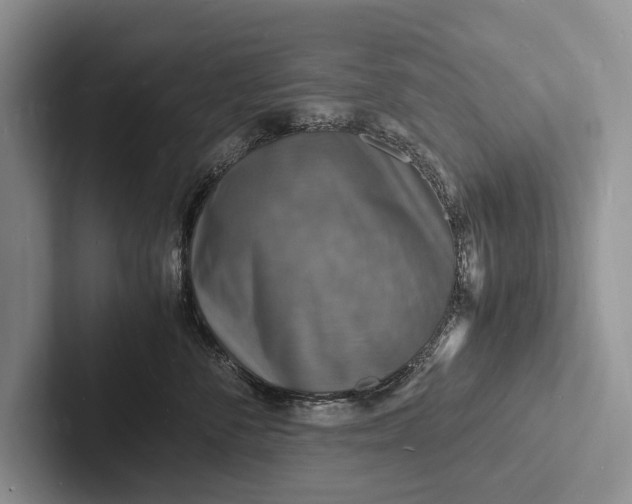 X0000103250716200809111615