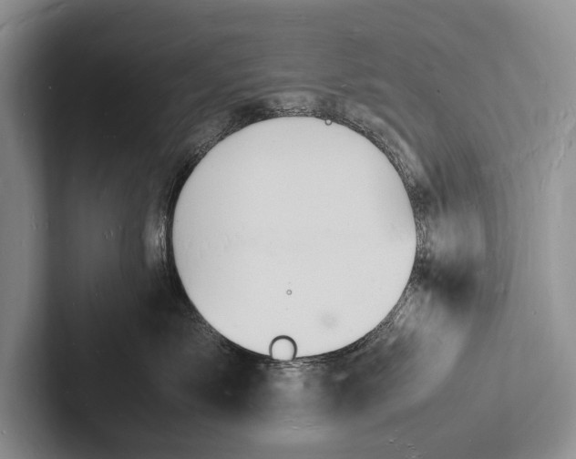 X0000103250717200809111615