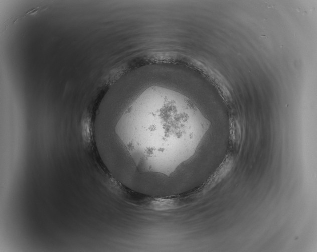 X0000103250718200809111615