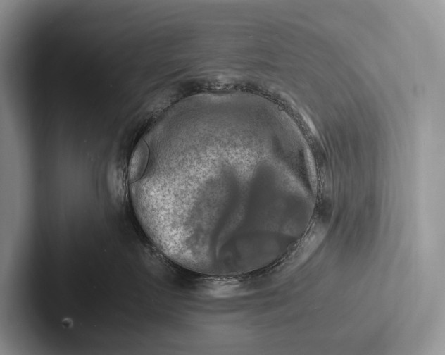 X0000103250719200809111615