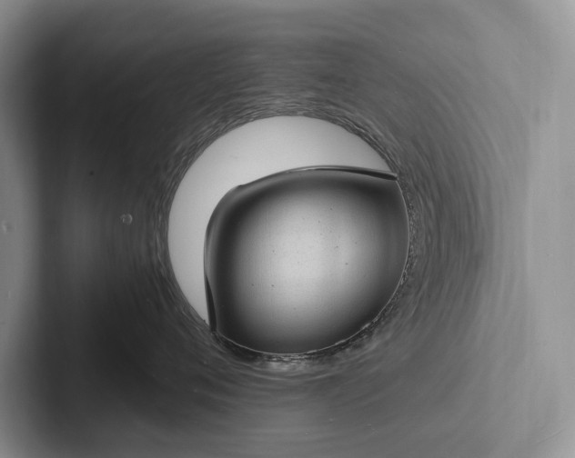 X0000103250720200809111615
