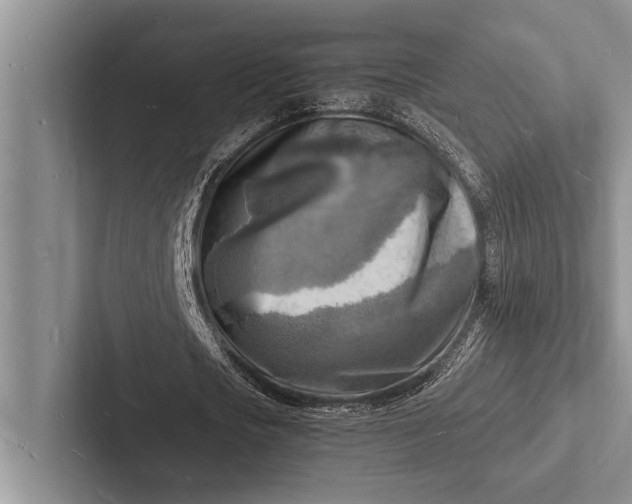 X0000103250721200809111614