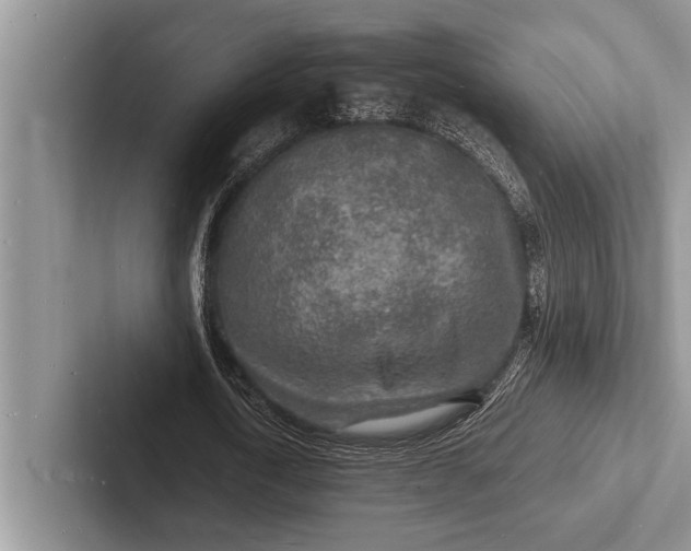 X0000103250722200809111614