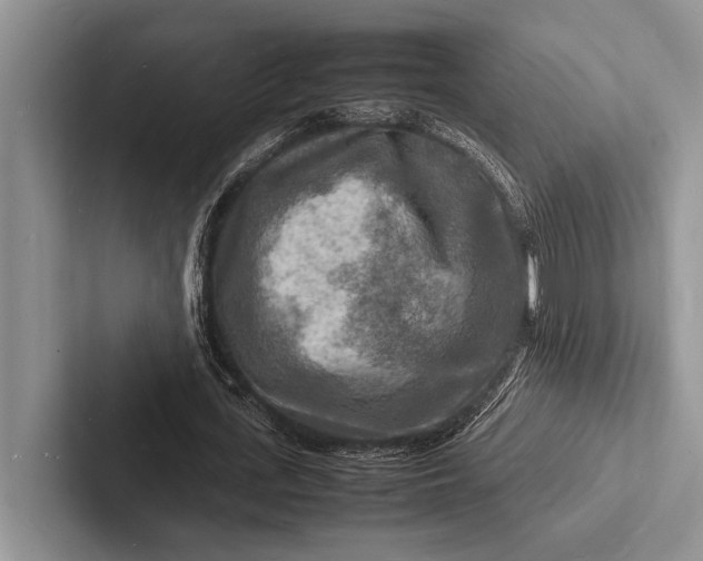 X0000103250723200809111614