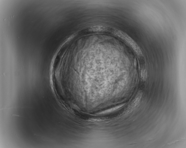 X0000103250724200809111614