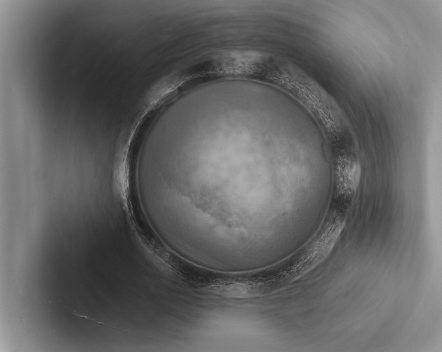 X0000103250726200809111615