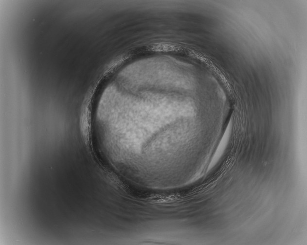 X0000103250727200809111615