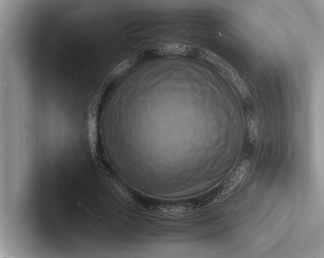 X0000103250729200809111615