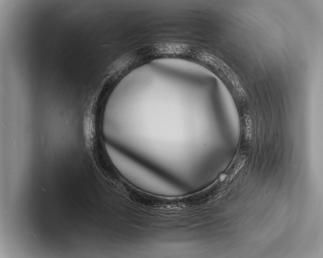 X0000103250731200809111615